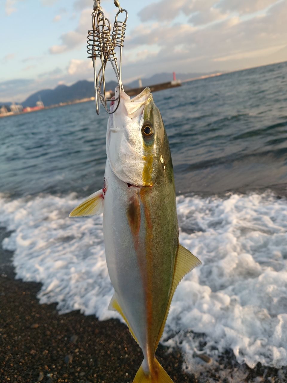 SHIMANO 20ルナミス S110MHの最安値・インプレ・釣果 | 本音の口コミが