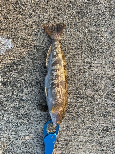 三陸海岸（岩手）