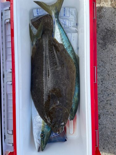 知多半島野池群