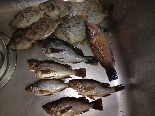 周防大島（屋代島）