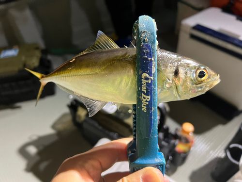 東京湾（アクアライン〜富津）