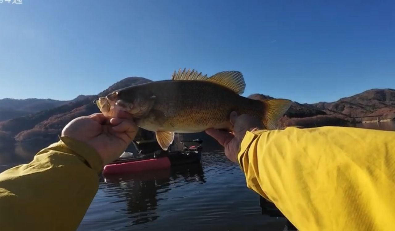 スモールマウスバス