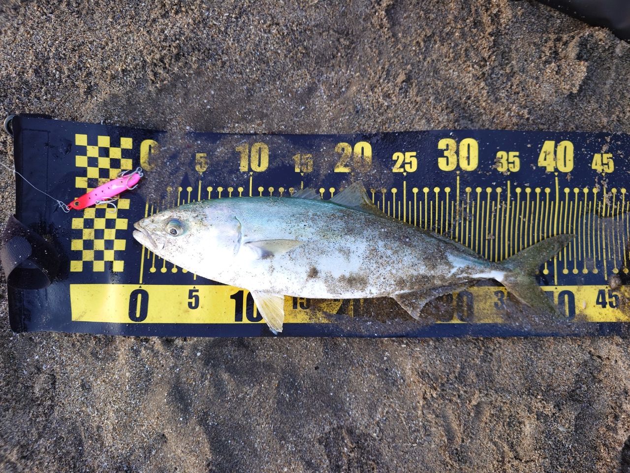 SHIMANO ネッサ BB S1002MHの最安値・インプレ・釣果 | 本音の口コミが