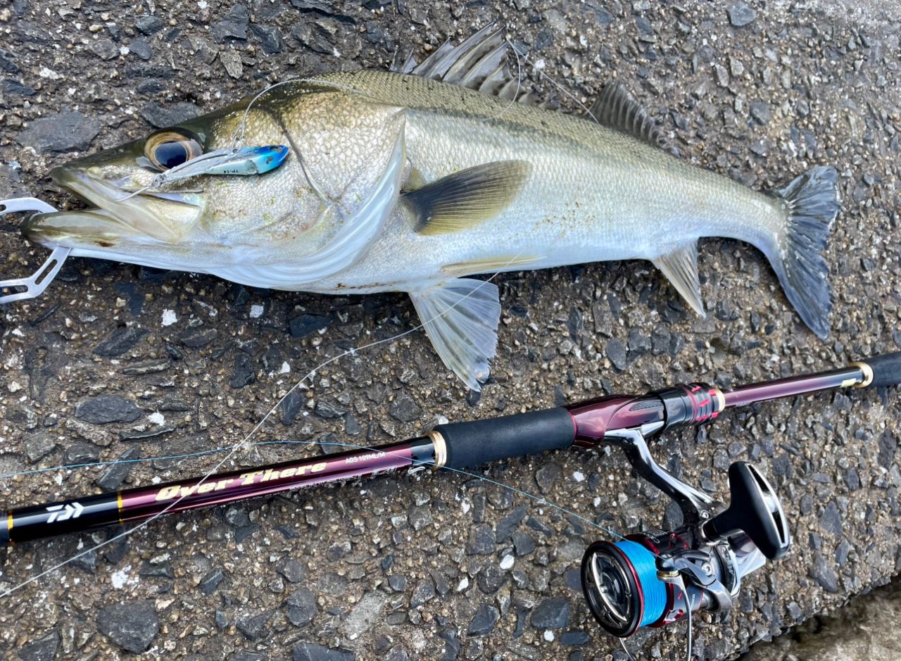 DAIWA 21オーバーゼア AGS 109ML／Mの最安値・インプレ・釣果 | 本音の