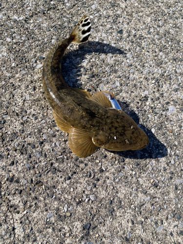 セントレア常滑港前島