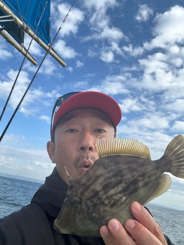 カワハギの釣果