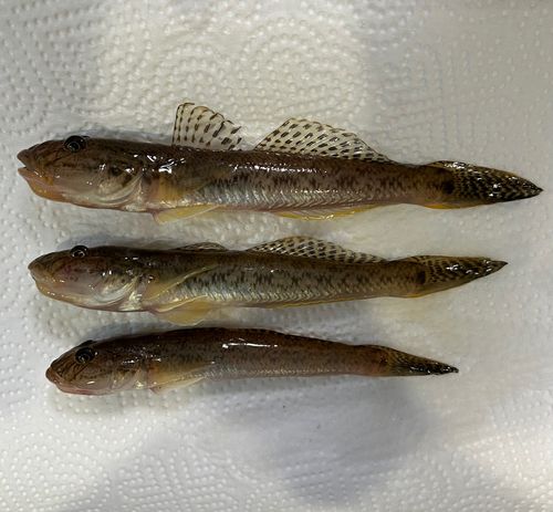 仙台港中央公園