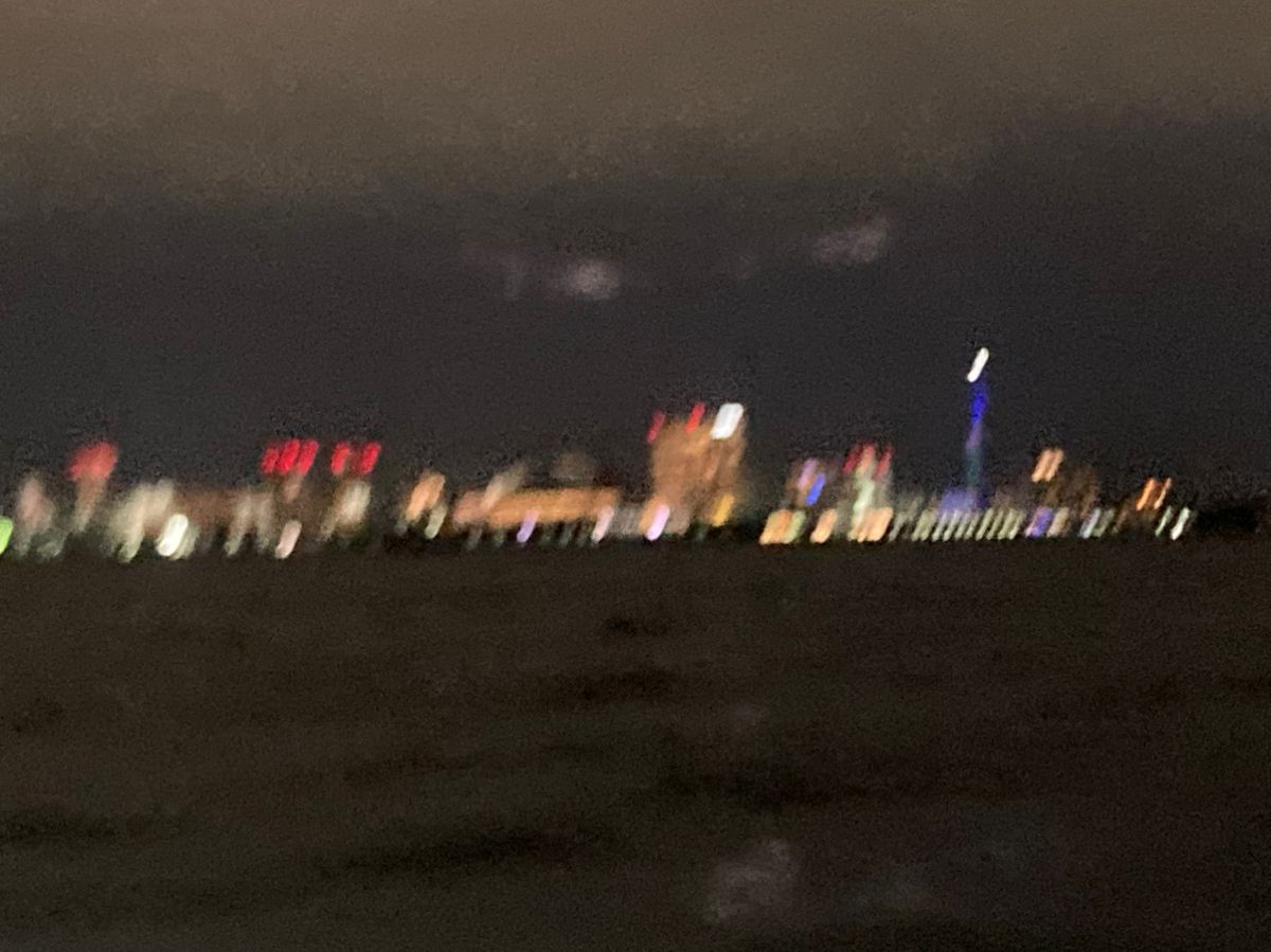 クジラ24号さんの釣果 2枚目の画像