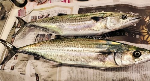 東京湾（アクアライン〜富津）