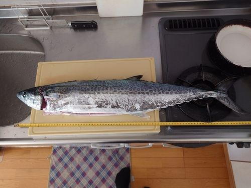 日明海峡釣り公園