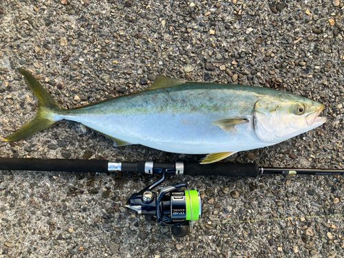 沖洲マリンピア