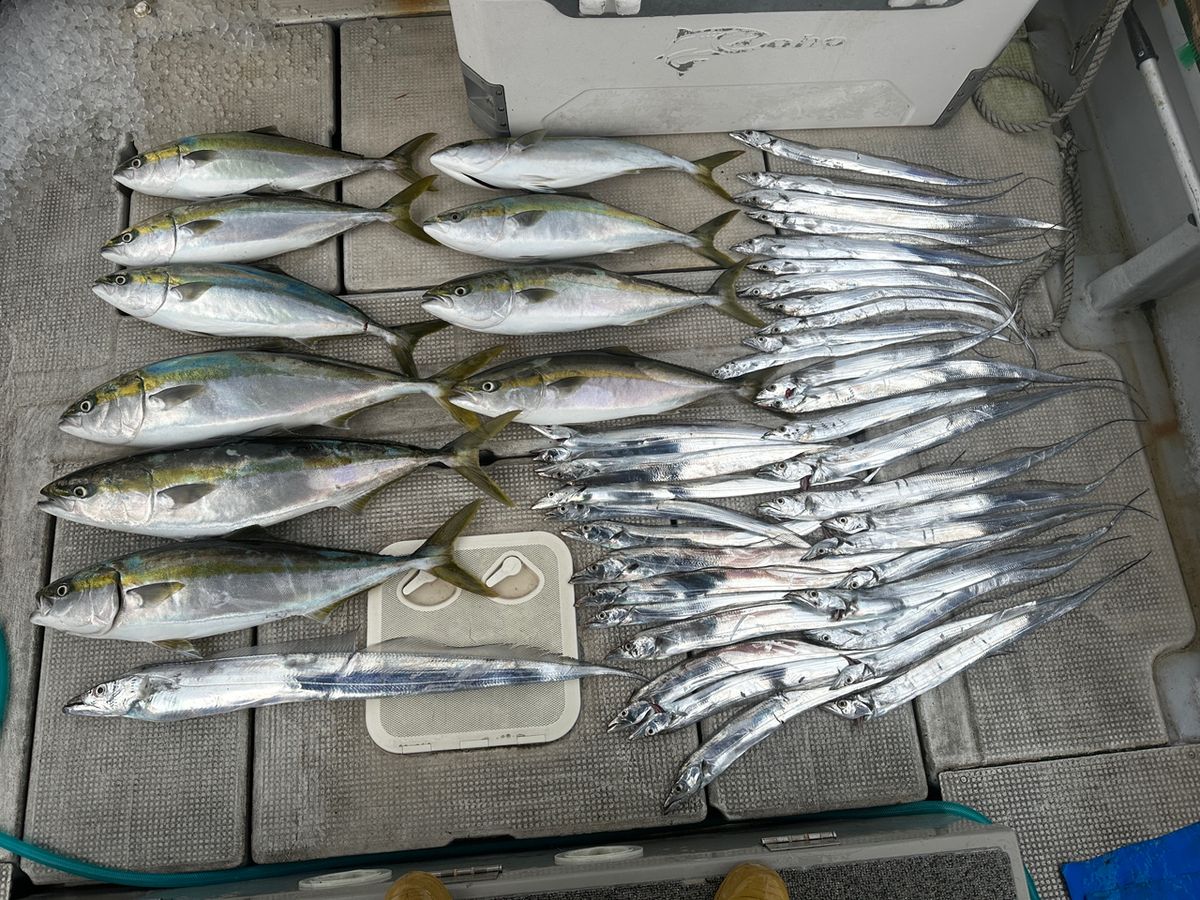 Jack 田尻漁港さんの釣果 1枚目の画像