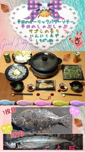 ヒラメの釣果