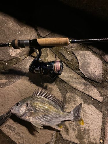 中央埠頭（博多湾）