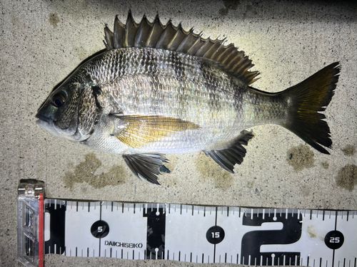 金沢水際線緑地（福浦岸壁）