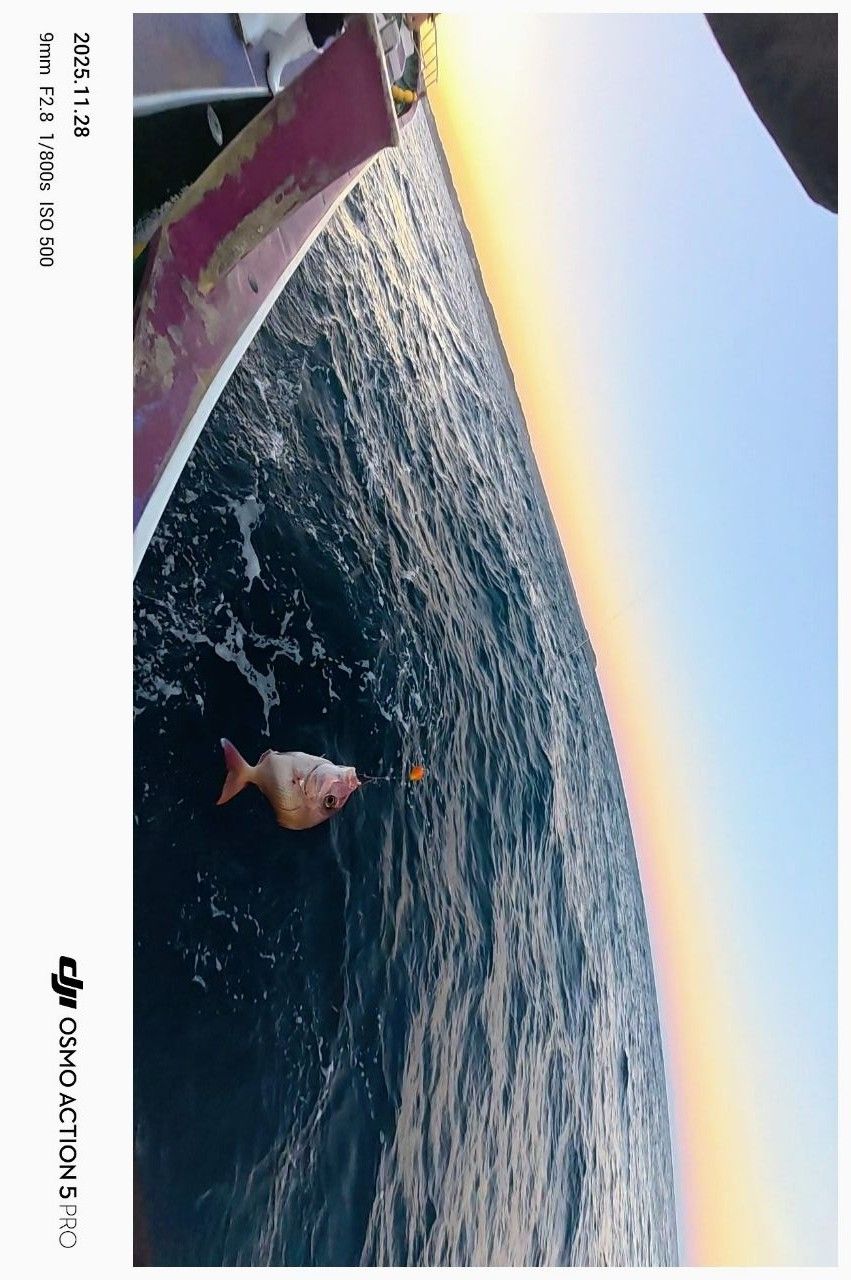 風のふ〜こ丸♂さんの釣果 2枚目の画像