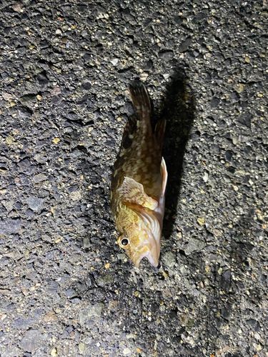 白子漁港（三重）