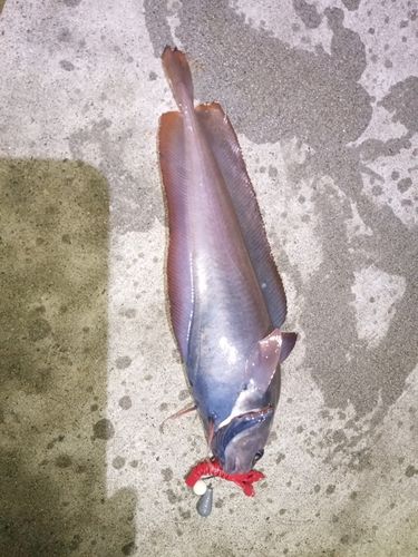 苫小牧港防波堤