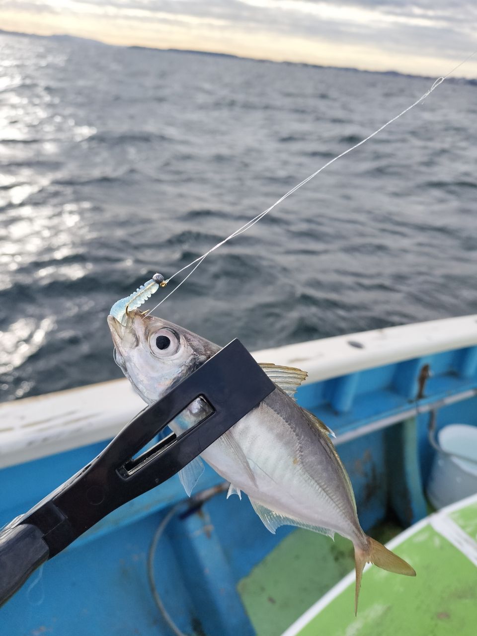 しん☆ちゃんさんの釣果 1枚目の画像