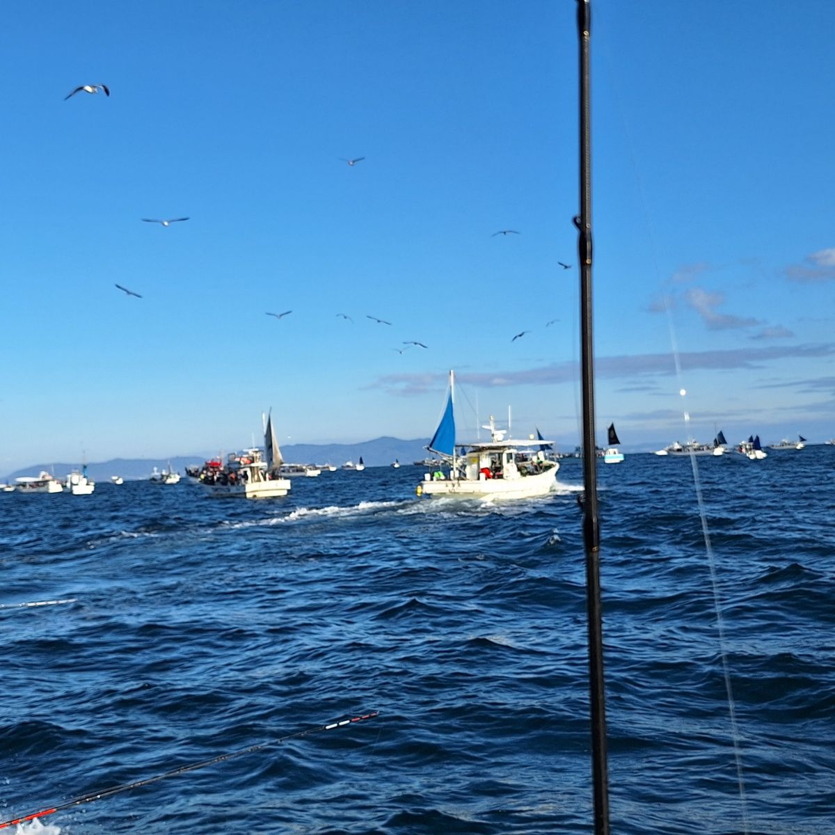 Kazu-kmkkさんの釣果 2枚目の画像