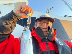 タチウオの釣果