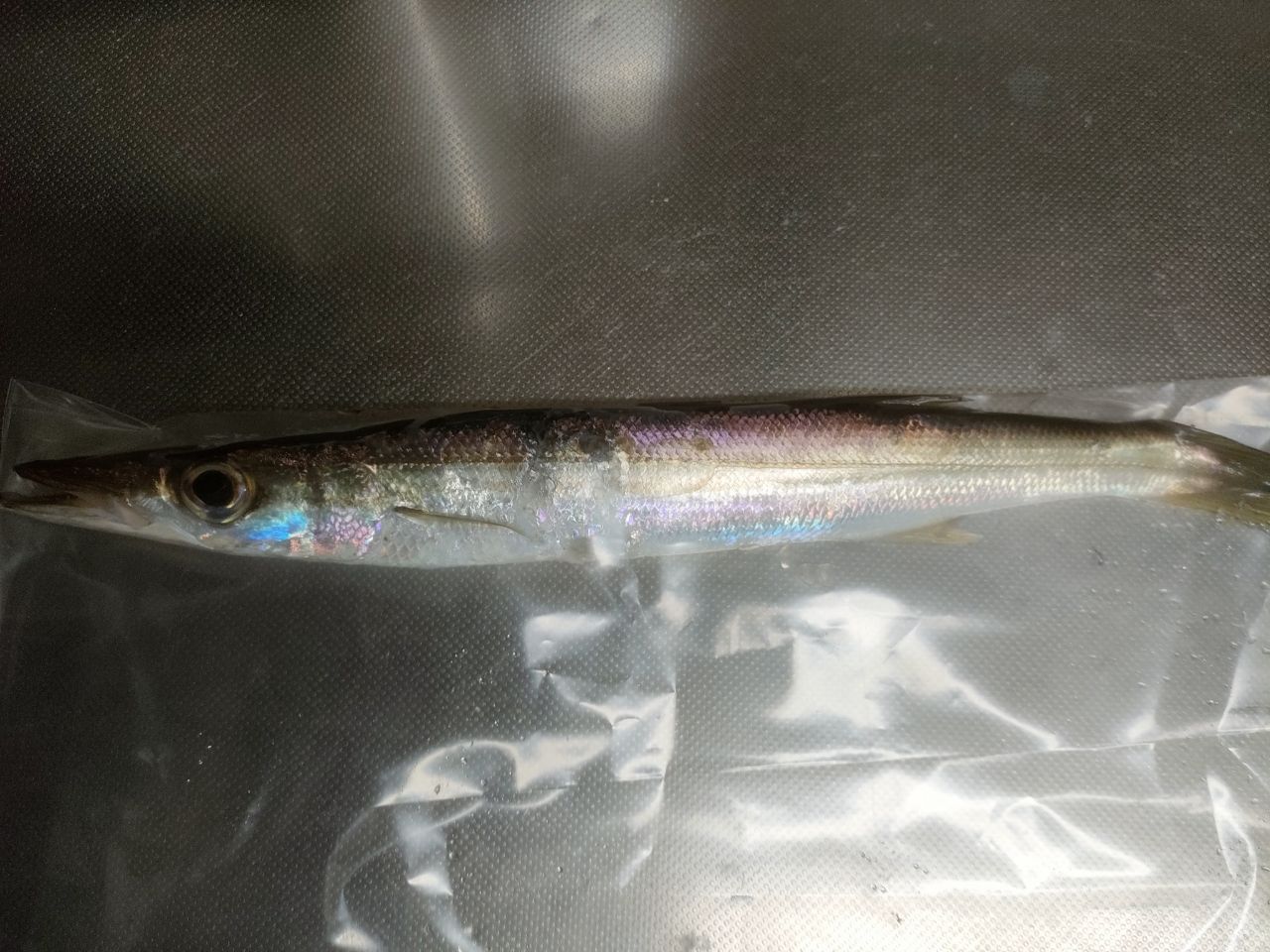 34 アドバンスメント FPR-46の最安値・インプレ・釣果 | 本音の口コミ