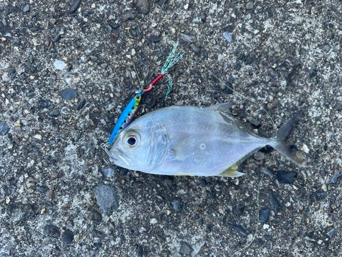 内ノ浦水門付近