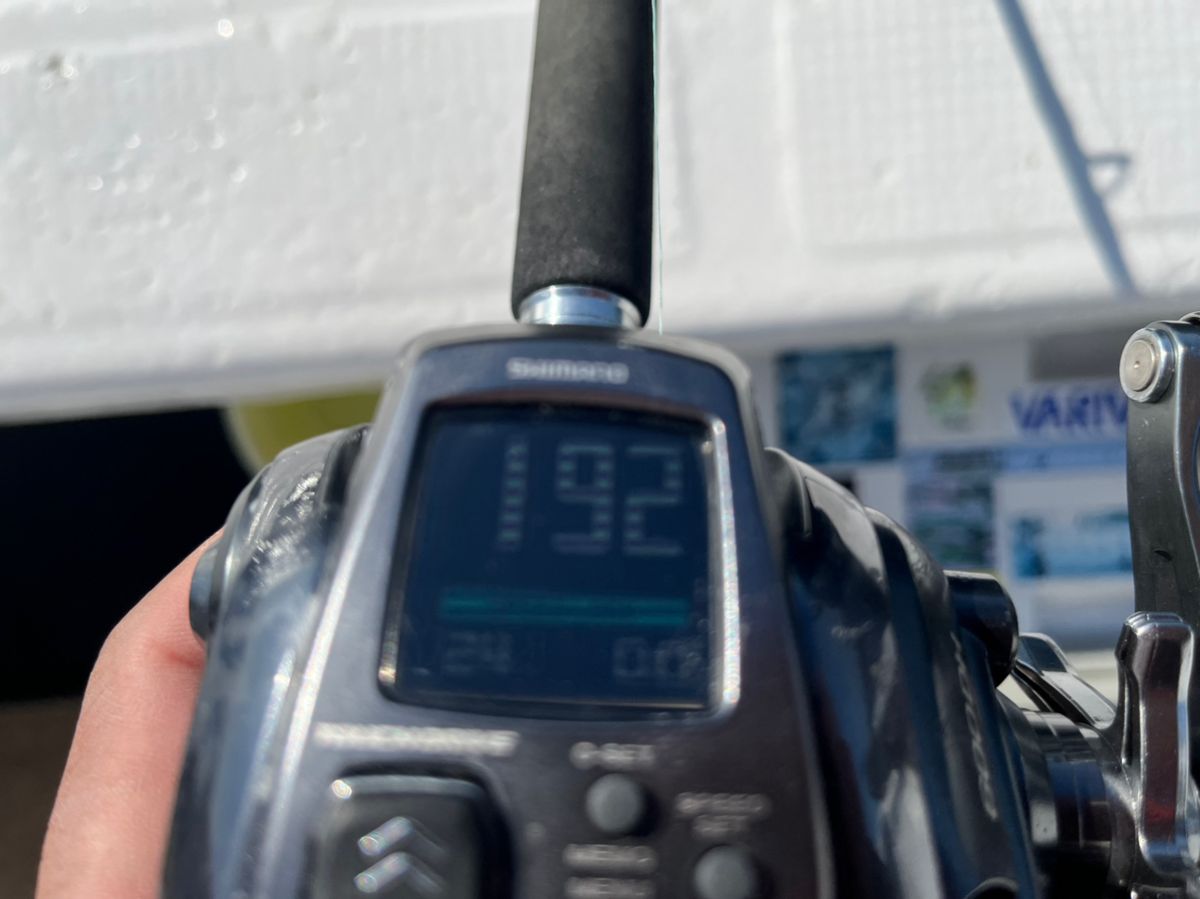 BOZUさんの釣果 2枚目の画像