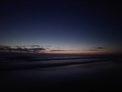 シタビラメの釣果