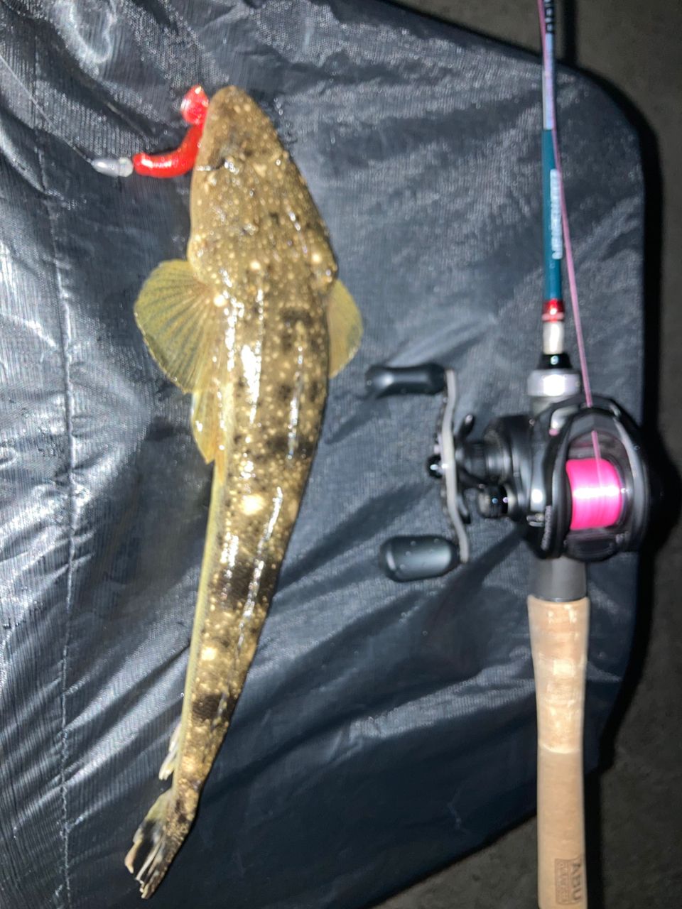 AbuGarcia ズームサファリ ZMSC-565Lの最安値・インプレ・釣果 | 本音