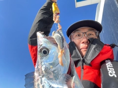 タチウオの釣果