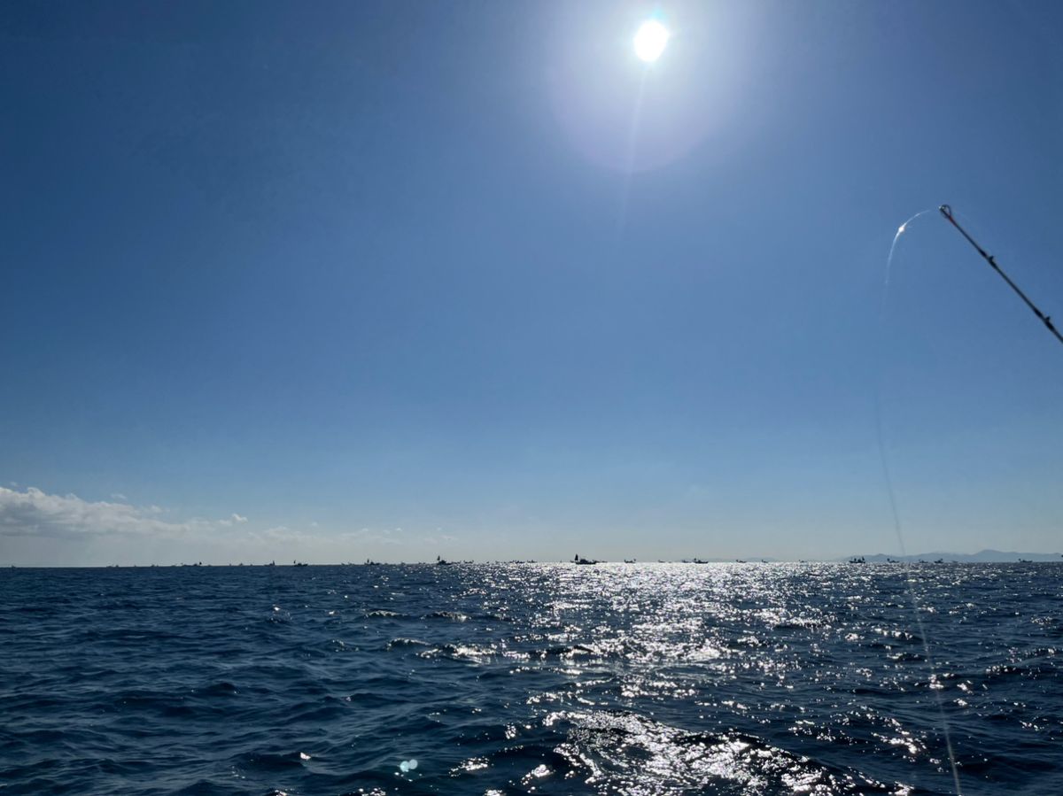 BOZUさんの釣果 2枚目の画像