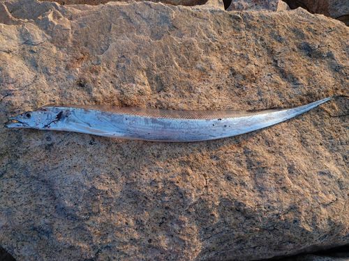 周防大島（屋代島）