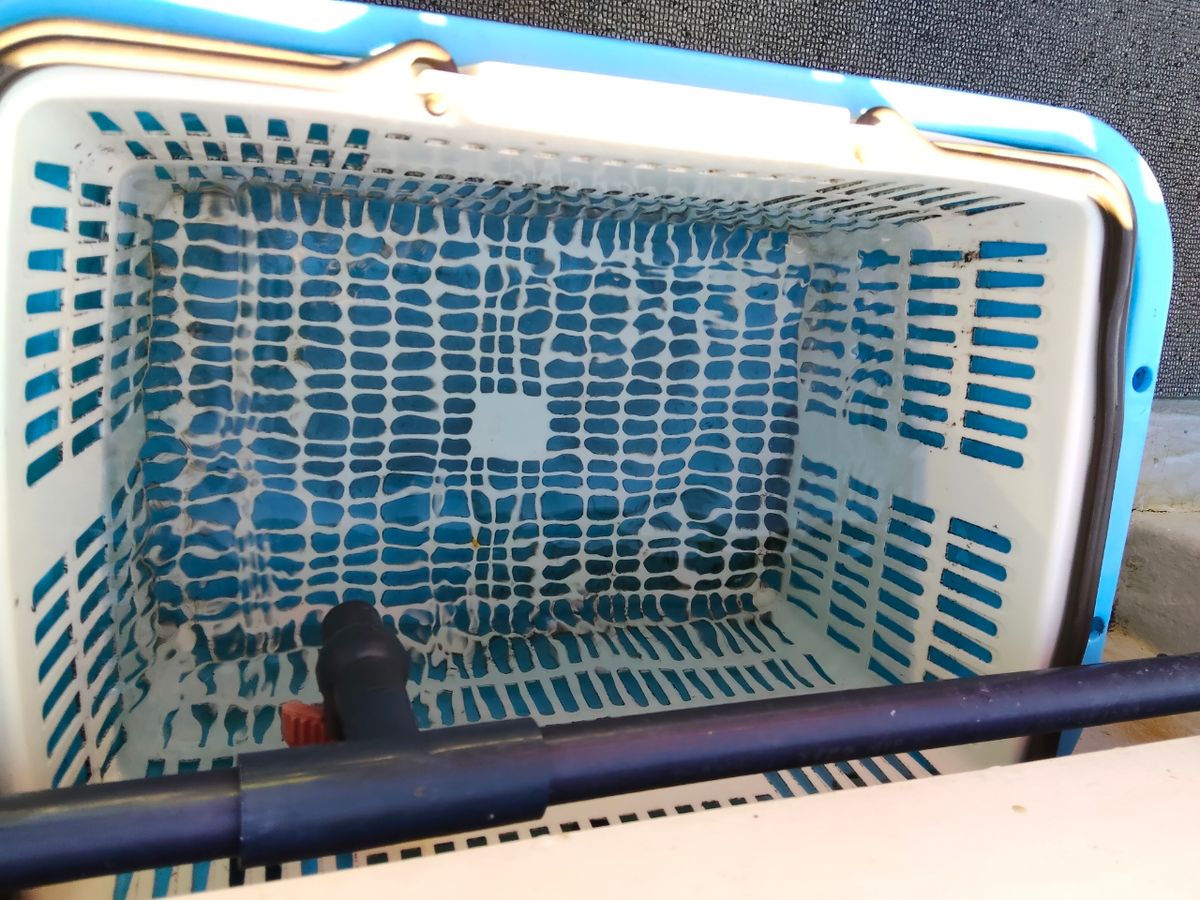 モコミミさんの釣果 1枚目の画像