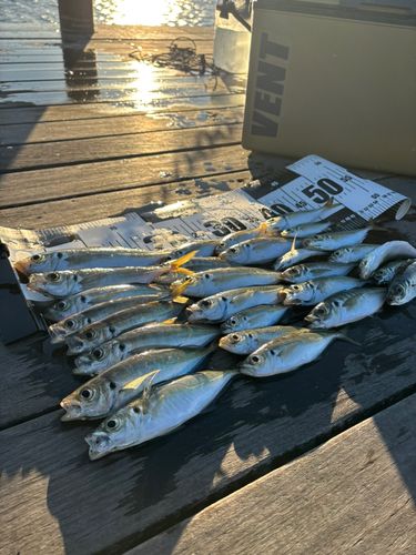 小名浜港市場前