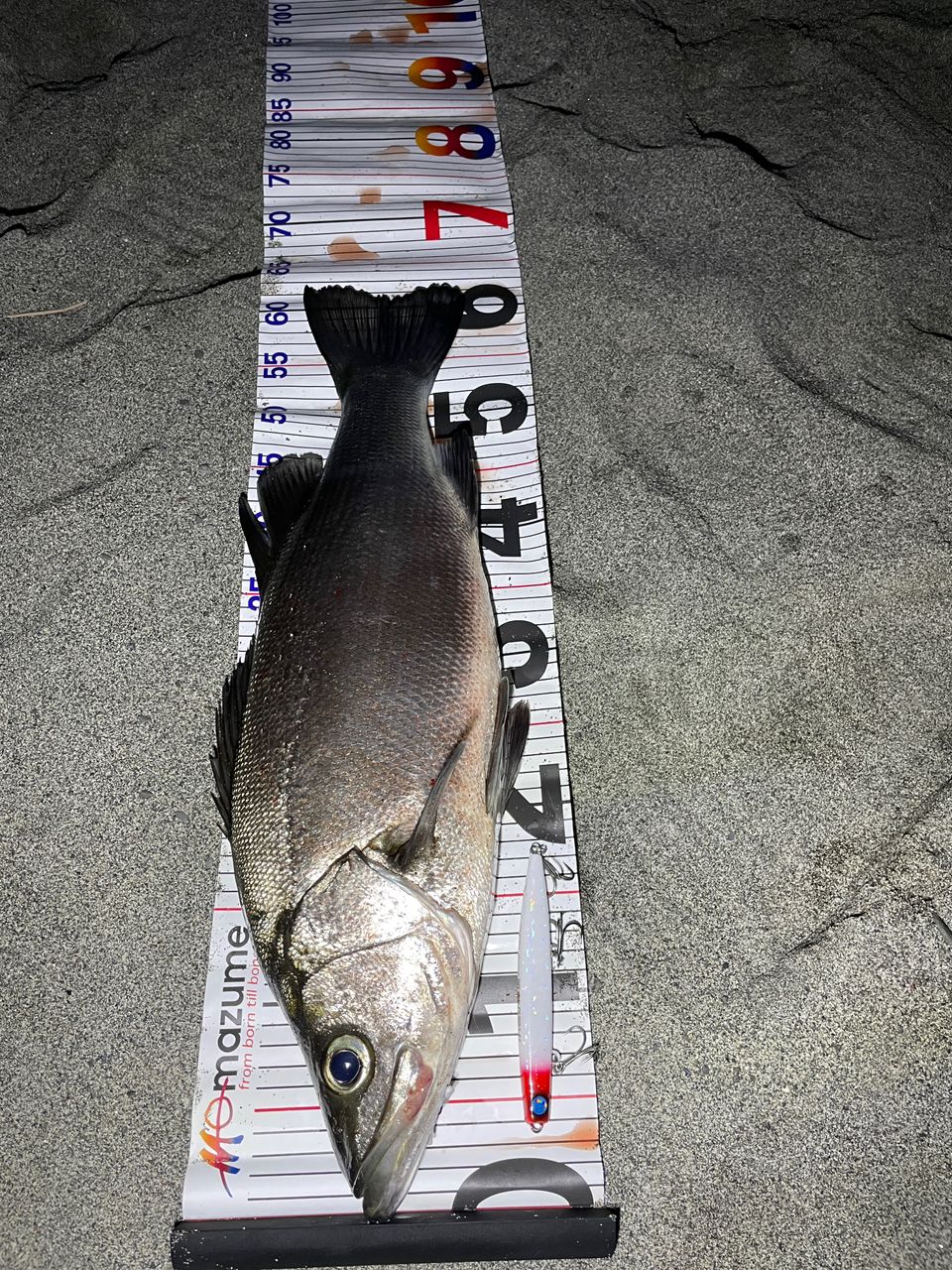 Jackson サーフトライブ STHS-1112MHの最安値・インプレ・釣果 | 本音