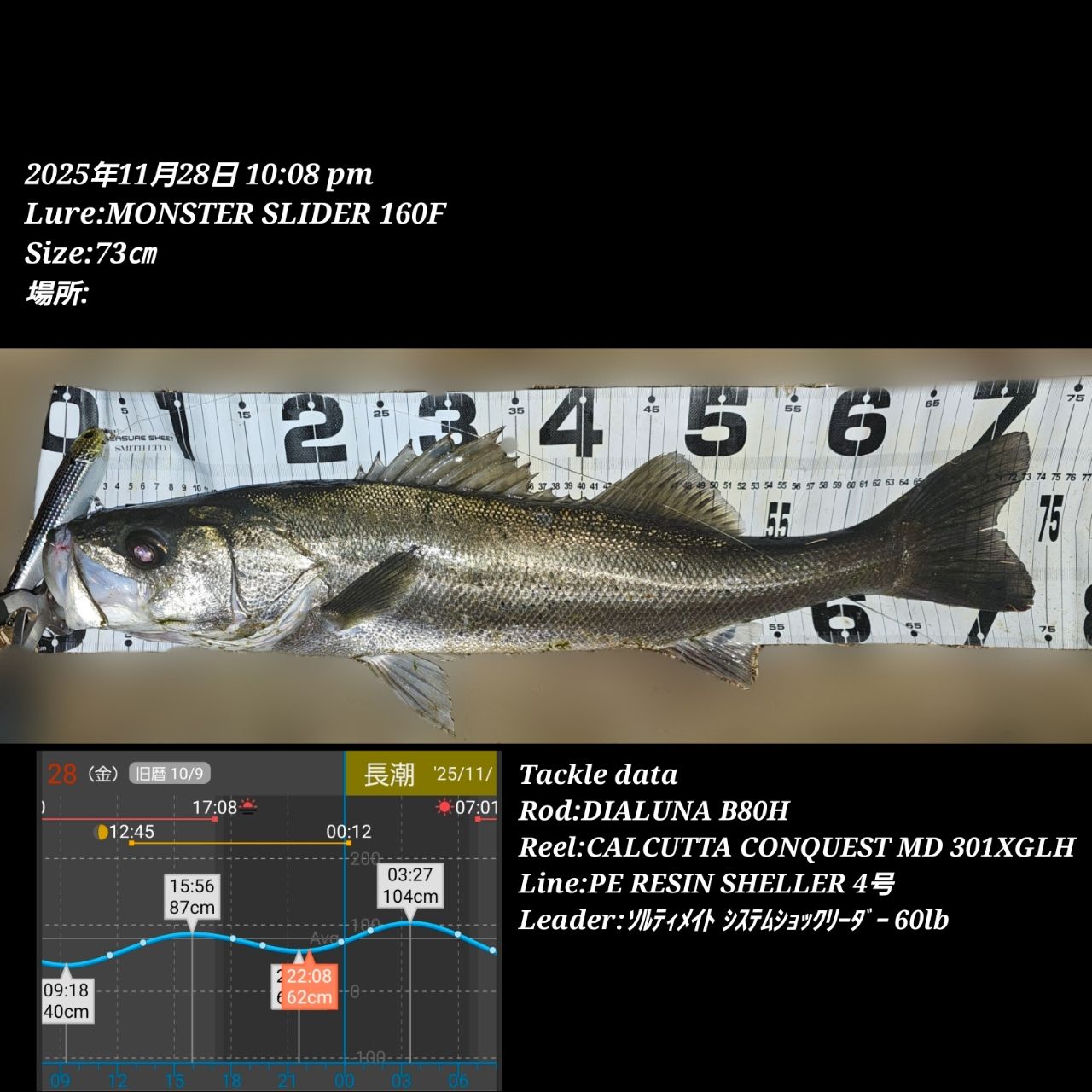 SHIMANO 23ディアルーナ B80Hの最安値・インプレ・釣果 | 本音の口コミ