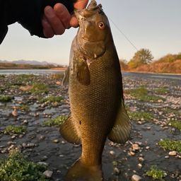 スモールマウスバス