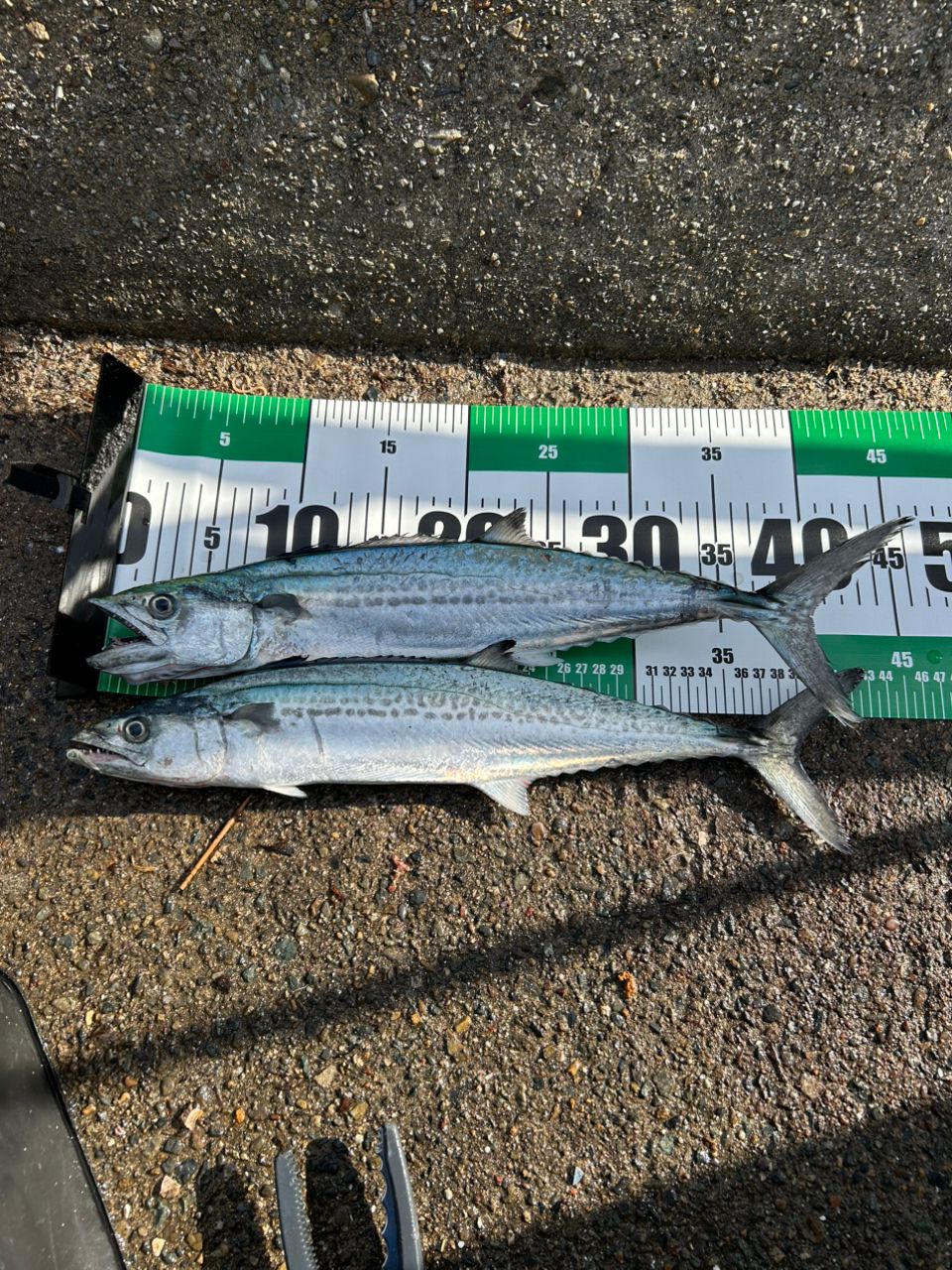 DAIWA 22ショアジギング X 100MHの最安値・インプレ・釣果 | 本音の