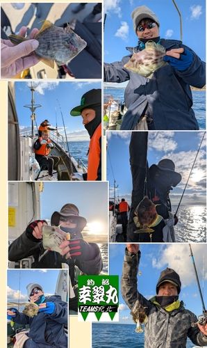 カワハギの釣果