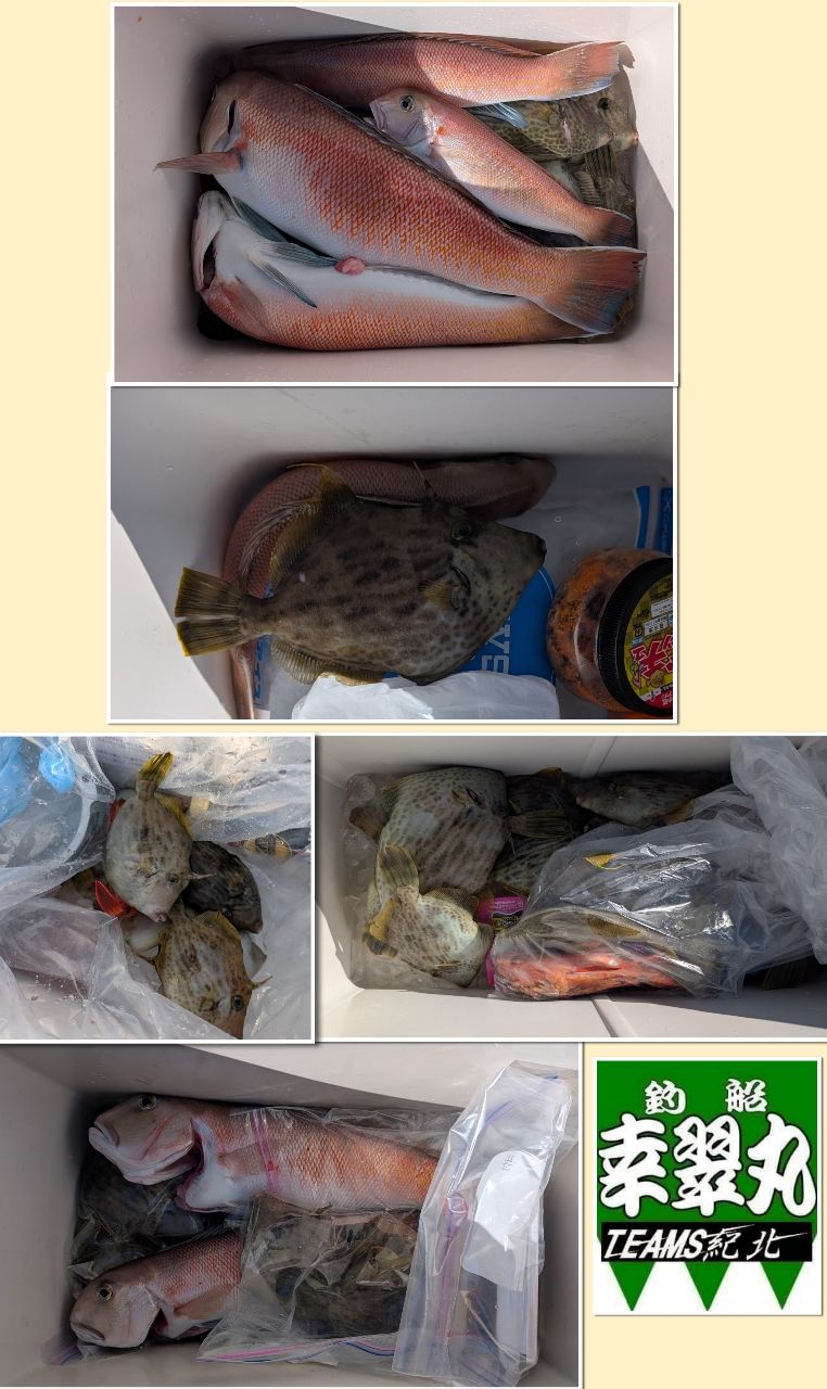 幸翠丸さんの釣果 2枚目の画像