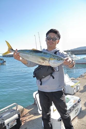 メジロの釣果