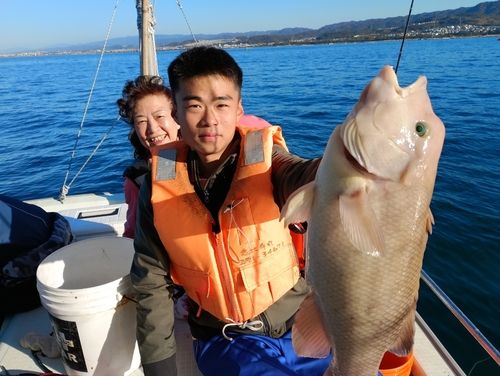 コブダイの釣果