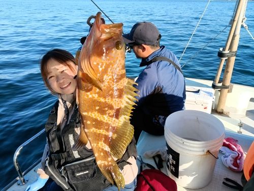 キジハタの釣果