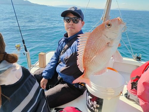 マダイの釣果