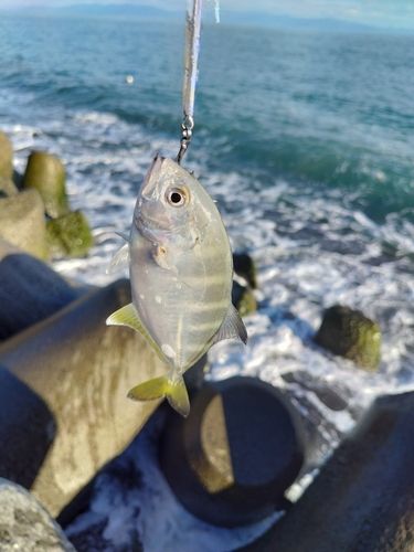 大浜海岸（静岡）