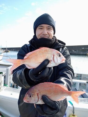 ハナダイの釣果