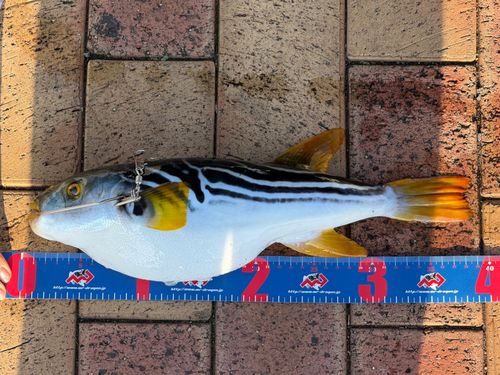 日明海峡釣り公園