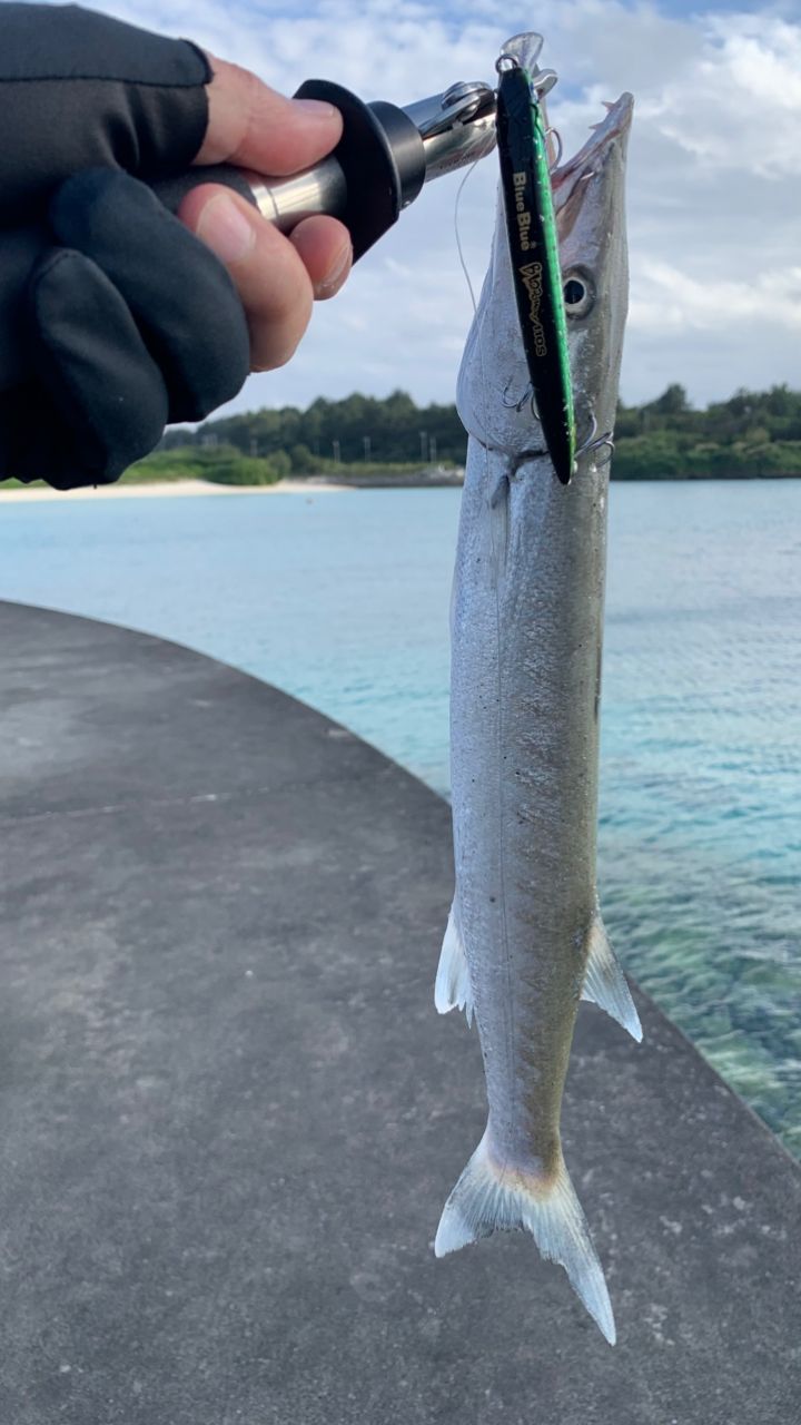 SHIMANO 19スコーピオン 2831R-2の最安値・インプレ・釣果 | 本音の