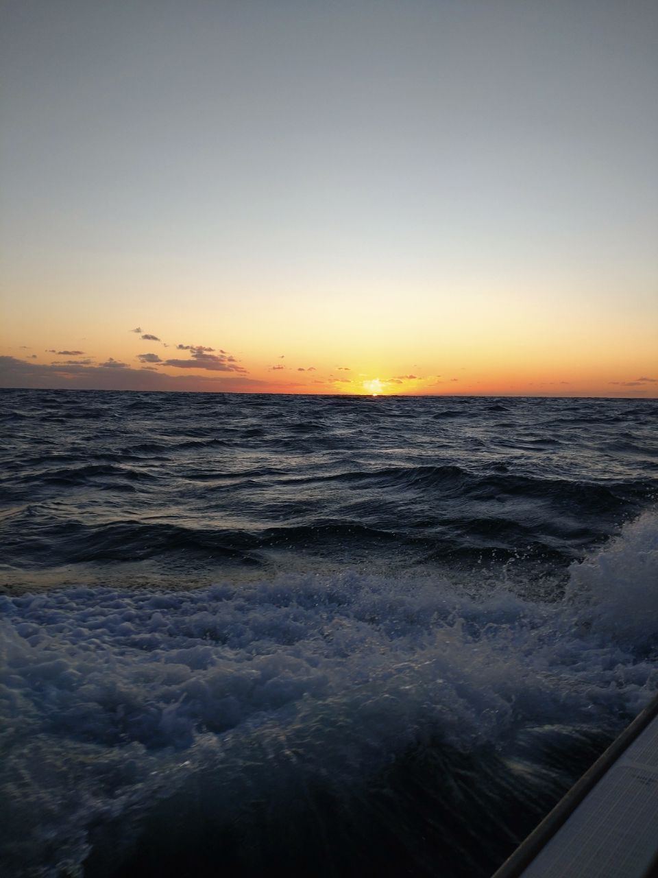坊主な釣師さんの釣果 3枚目の画像